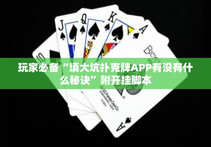 盘点＂宁海十三道开挂透视方法”开挂(透视)辅助