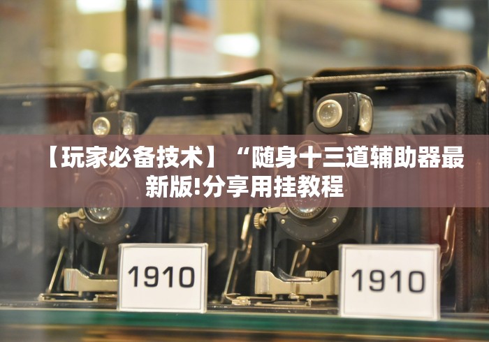 【玩家必备技术】“随身十三道辅助器最新版!分享用挂教程