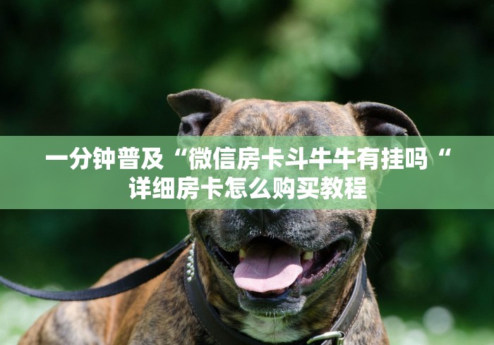 一分钟普及“微信房卡斗牛牛有挂吗“详细房卡怎么购买教程