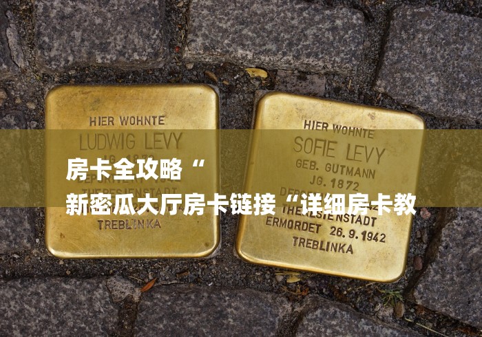 房卡全攻略“
新密瓜大厅房卡链接“详细房卡教