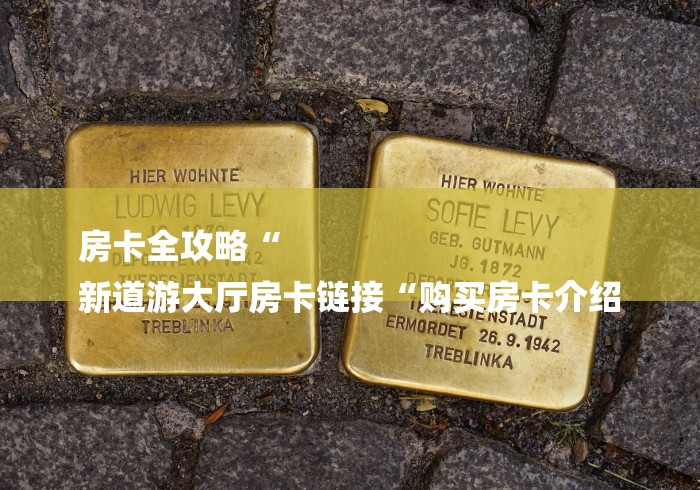 房卡全攻略“
新道游大厅房卡链接“购买房卡介绍