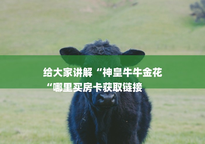 给大家讲解“神皇牛牛金花
“哪里买房卡获取链接 给大家讲解“神皇牛牛金花
“哪里买房卡获取链接