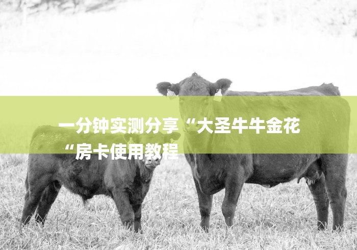 一分钟实测分享“大圣牛牛金花
“房卡使用教程