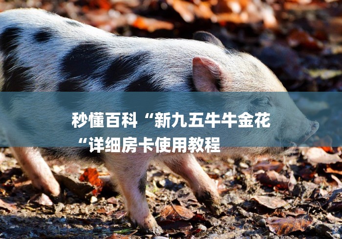 秒懂百科“新九五牛牛金花
“详细房卡使用教程