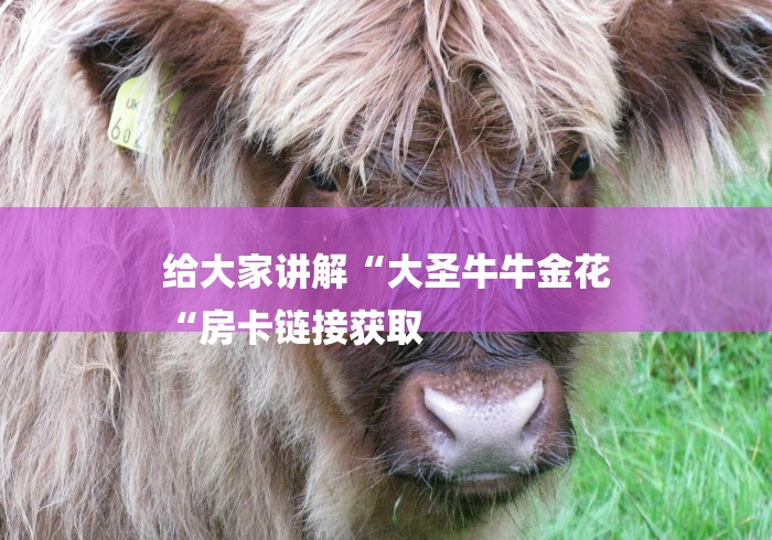 给大家讲解“大圣牛牛金花
“房卡链接获取 给大家讲解“大圣牛牛金花
“房卡链接获取