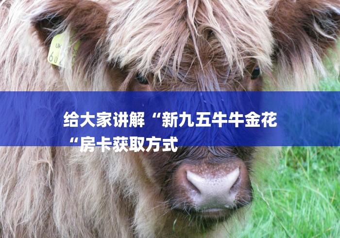 给大家讲解“新九五牛牛金花
“房卡获取方式 