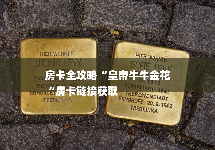 房卡全攻略“皇帝牛牛金花
“房卡链接获取 房卡全攻略“皇帝牛牛金花
“房卡链接获取