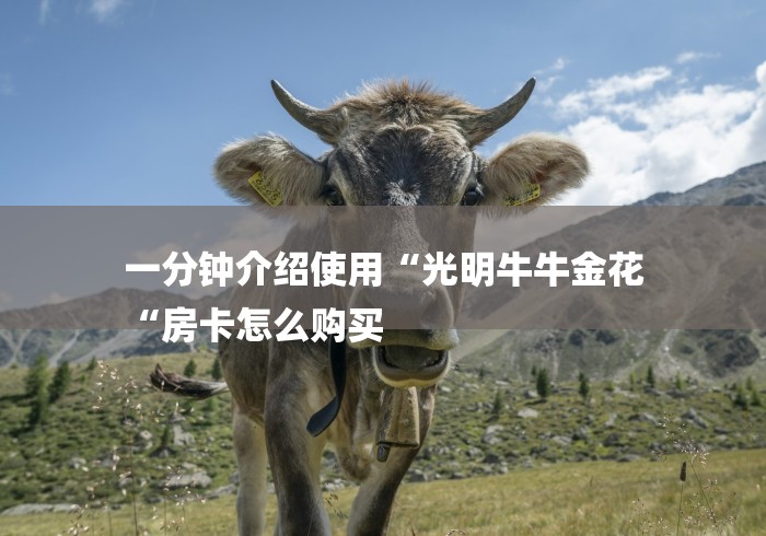 一分钟介绍使用“光明牛牛金花
“房卡怎么购买