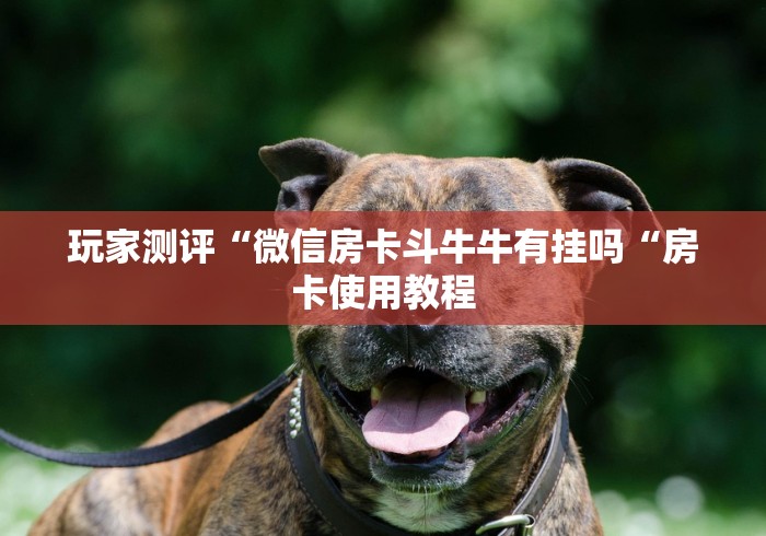 玩家测评“微信房卡斗牛牛有挂吗“房卡使用教程 玩家测评“微信房卡斗牛牛有挂吗“房卡使用教程