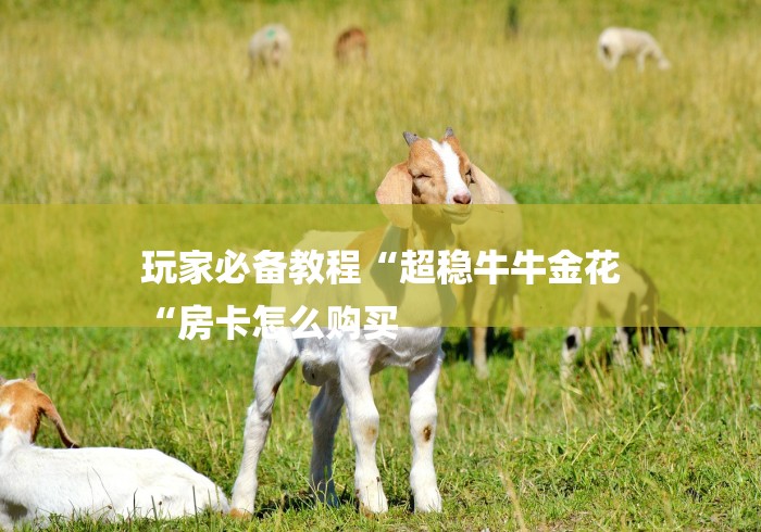 玩家必备教程“超稳牛牛金花
“房卡怎么购买