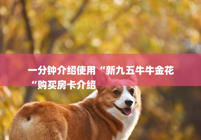 一分钟介绍使用“新九五牛牛金花
“购买房卡介绍