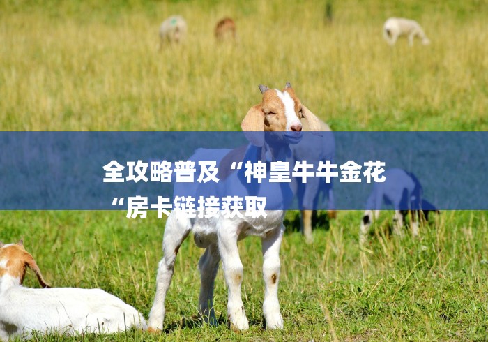 全攻略普及“神皇牛牛金花
“房卡链接获取