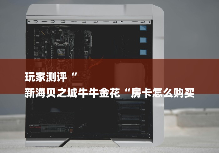 玩家测评“
新海贝之城牛牛金花“房卡怎么购买 玩家测评“
新海贝之城牛牛金花“房卡怎么购买