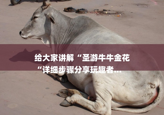 给大家讲解“圣游牛牛金花
“详细步骤分享玩趣者...