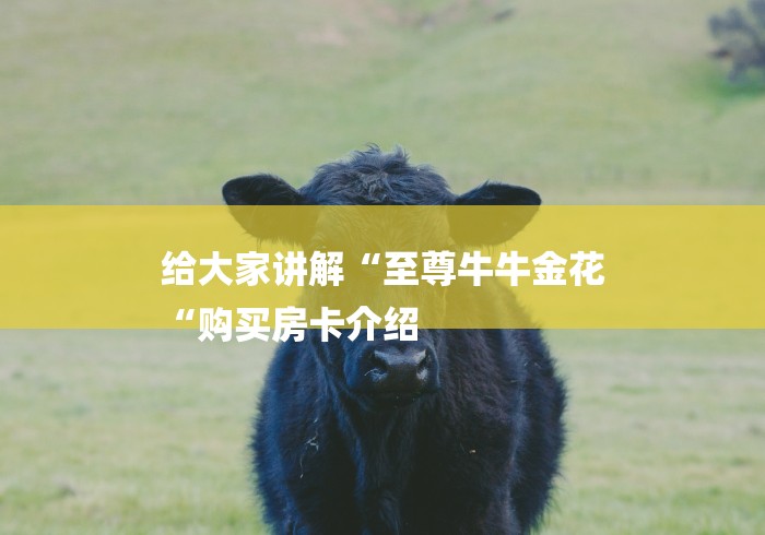 给大家讲解“至尊牛牛金花
“购买房卡介绍