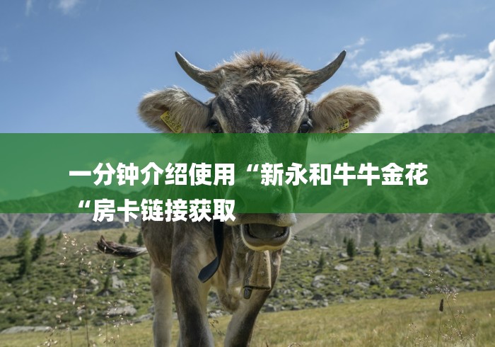 一分钟介绍使用“新永和牛牛金花
“房卡链接获取