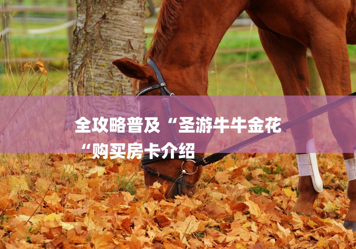 全攻略普及“圣游牛牛金花
“购买房卡介绍