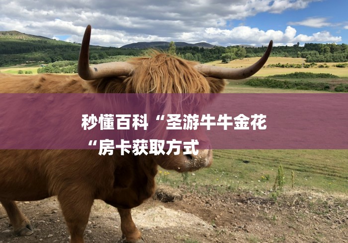 秒懂百科“圣游牛牛金花
“房卡获取方式