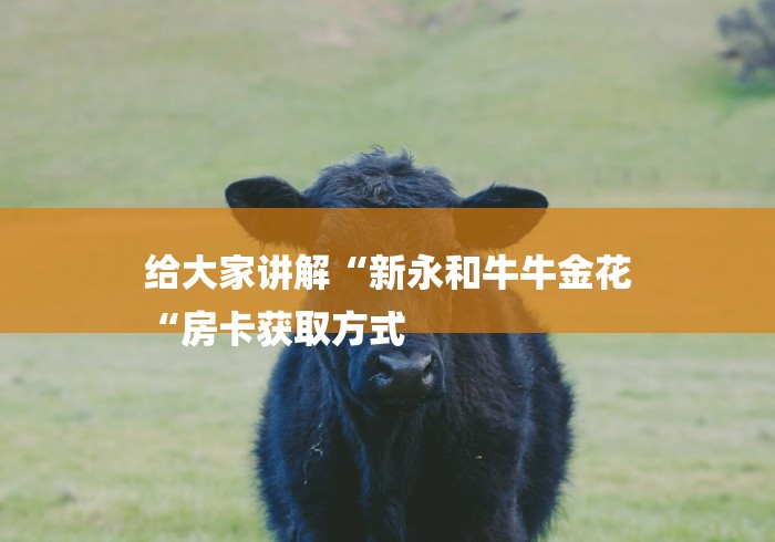 给大家讲解“新永和牛牛金花
“房卡获取方式 给大家讲解“新永和牛牛金花
“房卡获取方式