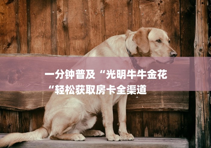 一分钟普及“光明牛牛金花
“轻松获取房卡全渠道 一分钟普及“光明牛牛金花
“轻松获取房卡全渠道