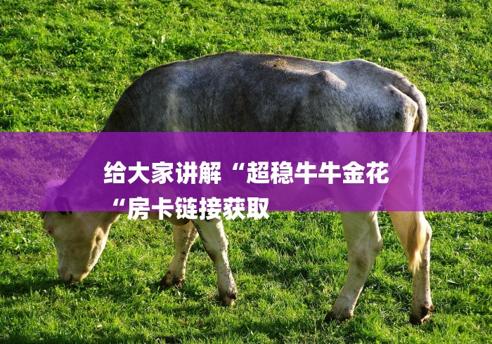 给大家讲解“超稳牛牛金花
“房卡链接获取 给大家讲解“超稳牛牛金花
“房卡链接获取