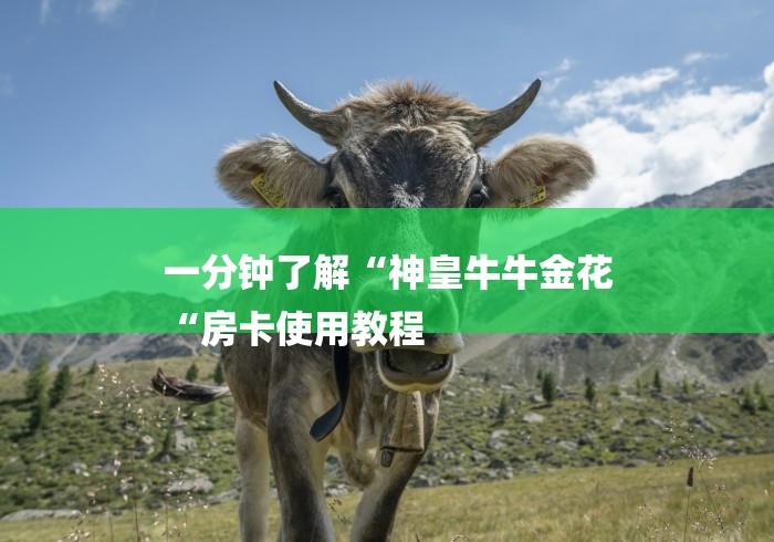 一分钟了解“神皇牛牛金花
“房卡使用教程 一分钟了解“神皇牛牛金花
“房卡使用教程