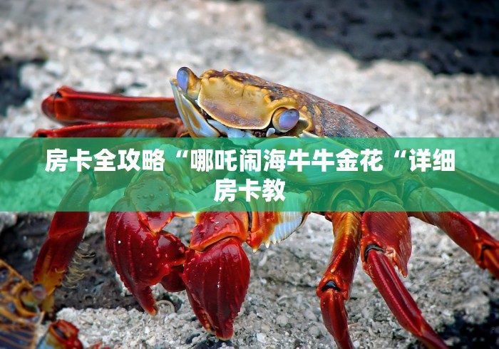 房卡全攻略“哪吒闹海牛牛金花“详细房卡教