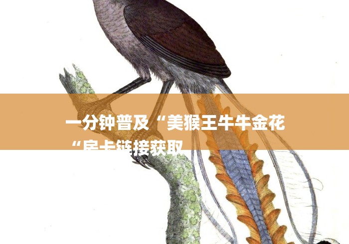 一分钟普及“美猴王牛牛金花
“房卡链接获取