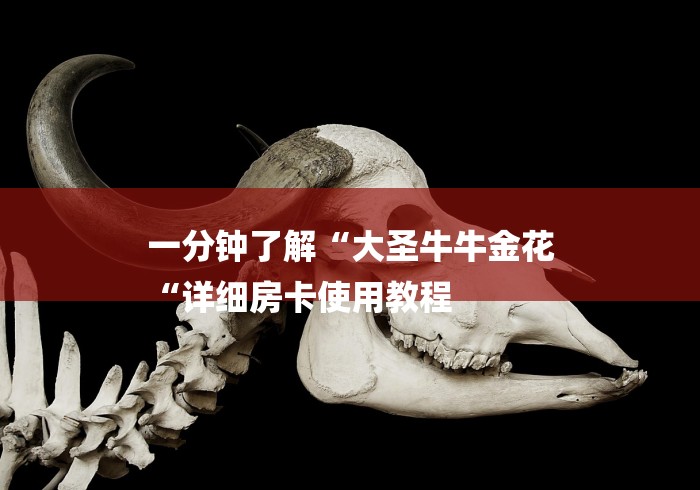 一分钟了解“大圣牛牛金花
“详细房卡使用教程 一分钟了解“大圣牛牛金花
“详细房卡使用教程