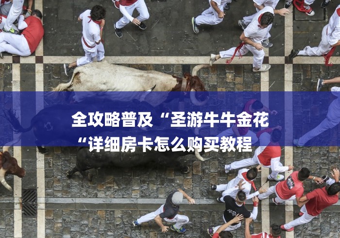 全攻略普及“圣游牛牛金花
“详细房卡怎么购买教程