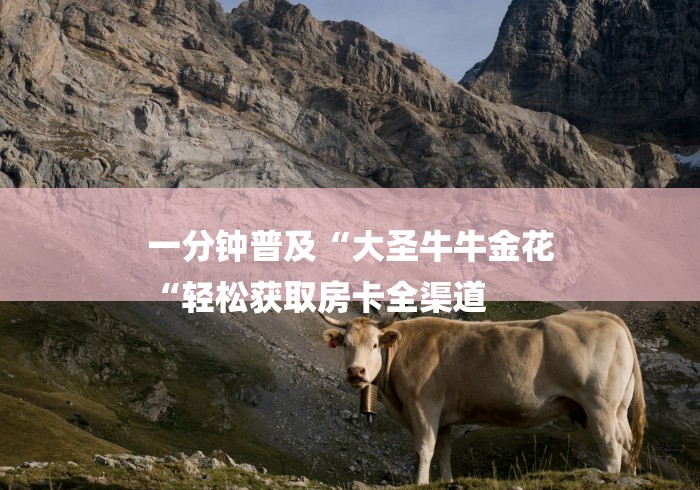 一分钟普及“大圣牛牛金花
“轻松获取房卡全渠道