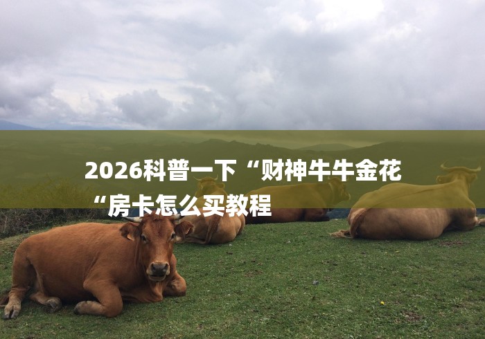 2026科普一下“财神牛牛金花
“房卡怎么买教程