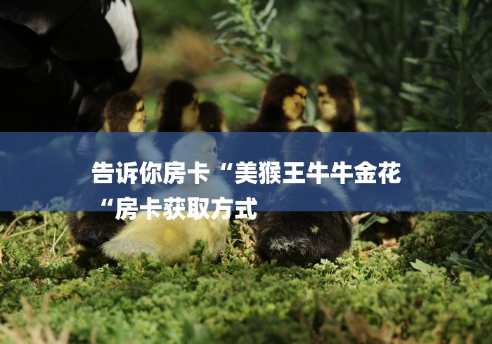 告诉你房卡“美猴王牛牛金花
“房卡获取方式 告诉你房卡“美猴王牛牛金花
“房卡获取方式