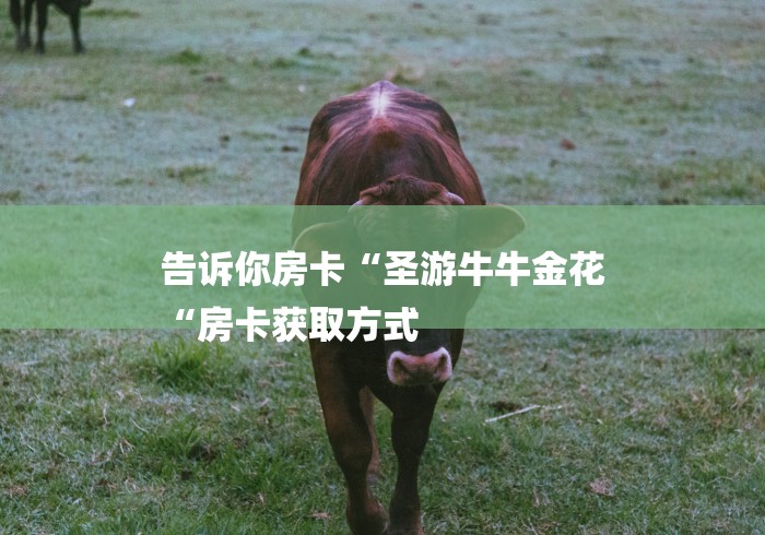 告诉你房卡“圣游牛牛金花
“房卡获取方式 告诉你房卡“圣游牛牛金花
“房卡获取方式