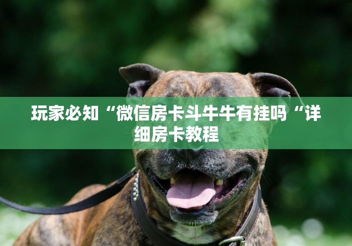 玩家必知“微信房卡斗牛牛有挂吗“详细房卡教程