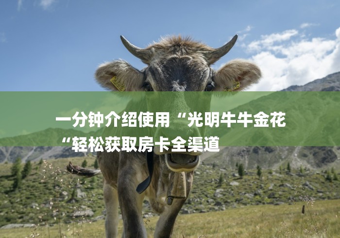 一分钟介绍使用“光明牛牛金花
“轻松获取房卡全渠道