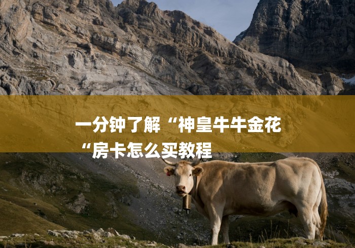 一分钟了解“神皇牛牛金花
“房卡怎么买教程