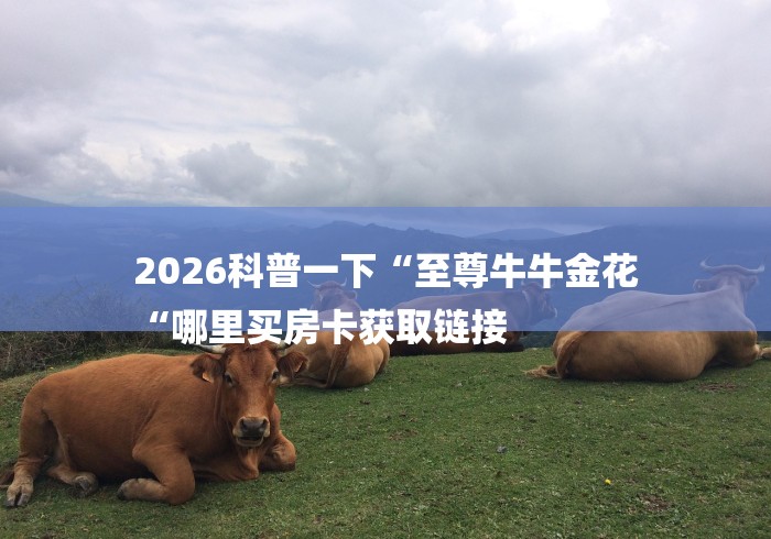 2026科普一下“至尊牛牛金花
“哪里买房卡获取链接