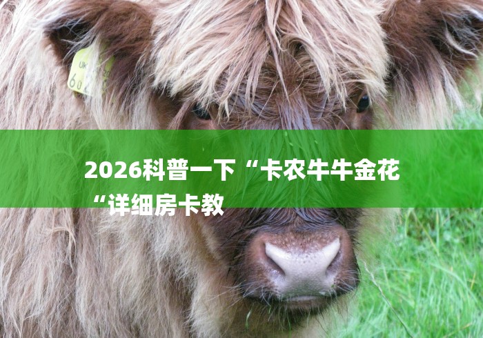 2026科普一下“卡农牛牛金花
“详细房卡教 2026科普一下“卡农牛牛金花
“详细房卡教