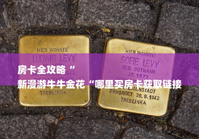 房卡全攻略“
新漫游牛牛金花“哪里买房卡获取链接