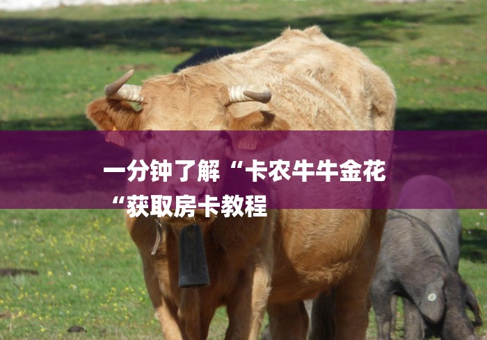 一分钟了解“卡农牛牛金花
“获取房卡教程