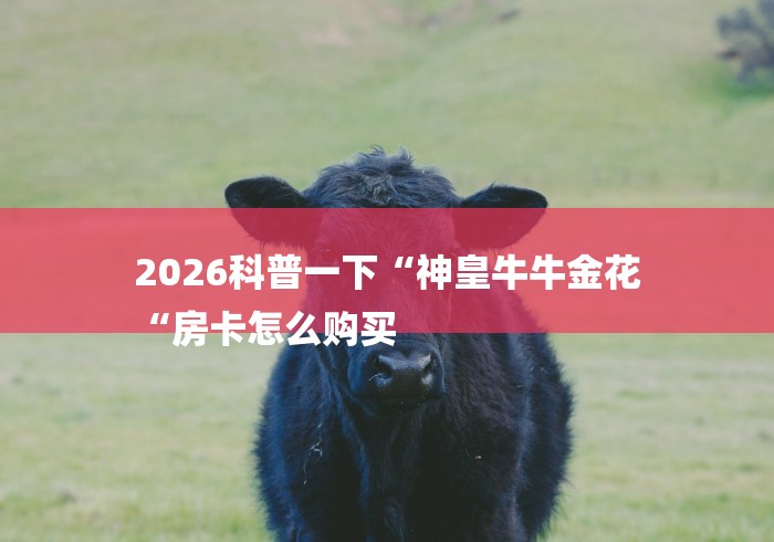 2026科普一下“神皇牛牛金花
“房卡怎么购买 2026科普一下“神皇牛牛金花
“房卡怎么购买