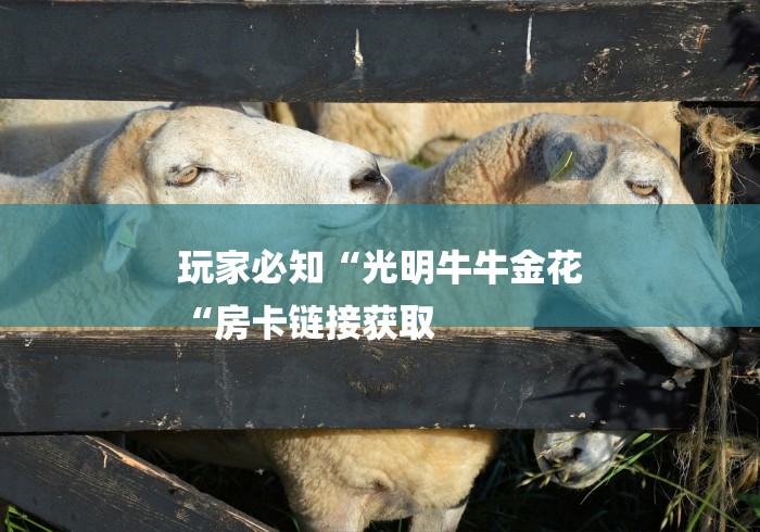 玩家必知“光明牛牛金花
“房卡链接获取