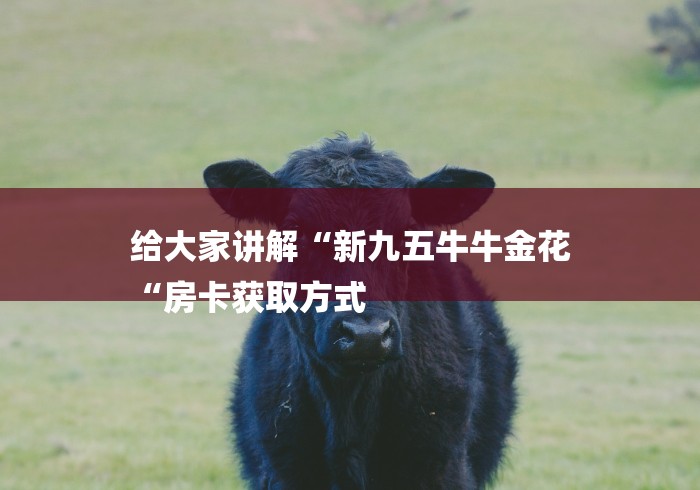 给大家讲解“新九五牛牛金花
“房卡获取方式 给大家讲解“新九五牛牛金花
“房卡获取方式