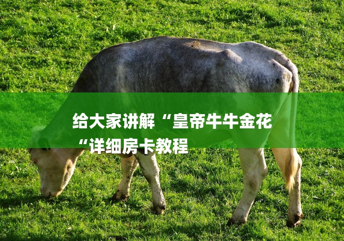给大家讲解“皇帝牛牛金花
“详细房卡教程 给大家讲解“皇帝牛牛金花
“详细房卡教程