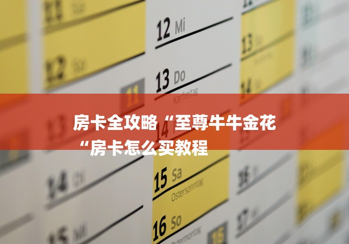 房卡全攻略“至尊牛牛金花
“房卡怎么买教程 房卡全攻略“至尊牛牛金花
“房卡怎么买教程