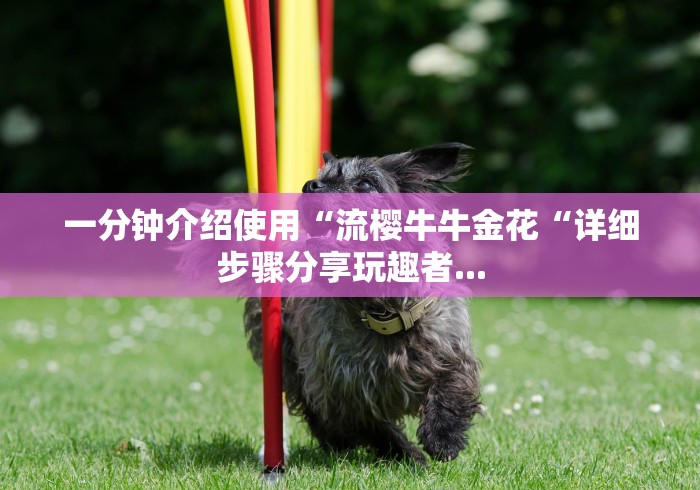 一分钟介绍使用“流樱牛牛金花“详细步骤分享玩趣者...