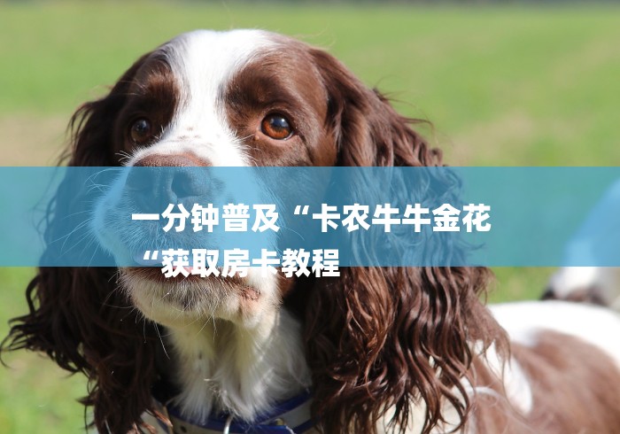 一分钟普及“卡农牛牛金花
“获取房卡教程 一分钟普及“卡农牛牛金花
“获取房卡教程