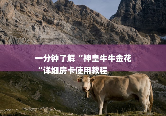 一分钟了解“神皇牛牛金花
“详细房卡使用教程