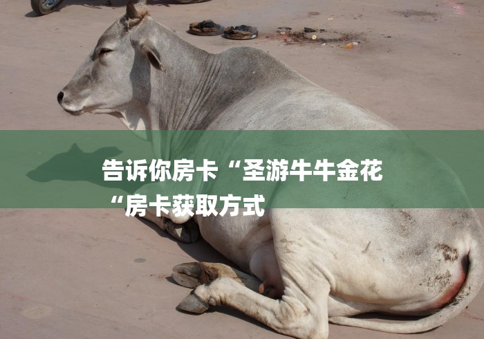 告诉你房卡“圣游牛牛金花
“房卡获取方式 告诉你房卡“圣游牛牛金花
“房卡获取方式